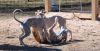 DSC_0322~8.jpg