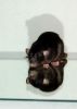 DSC_0323~5.jpg