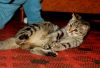 DSC_0330~0.jpg