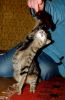 DSC_0331~0.jpg