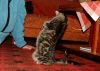 DSC_0337~1.jpg