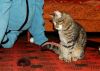 DSC_0339.jpg
