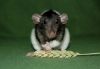 DSC_0348.jpg