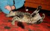 DSC_0349~2.jpg