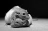DSC_0362~0.jpg