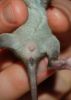 DSC_0398~6.jpg