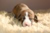 DSC_0411~5.jpg