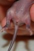 DSC_0412~4.jpg