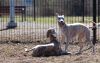 DSC_0420~6.jpg