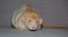 DSC_0421~0.jpg