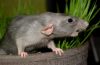 DSC_0427~4.jpg
