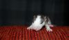 DSC_0447~2.jpg