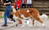 DSC_0599~1.jpg