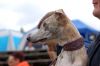 DSC_0611~2.jpg