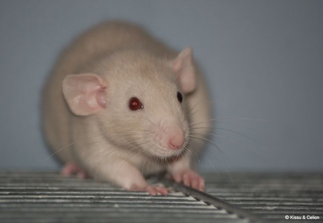 DSC_0140.jpg