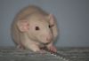 DSC_0140.jpg