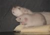 DSC_0178.jpg