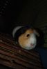 DSC_0039.jpg
