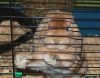 DSC_0049.jpg