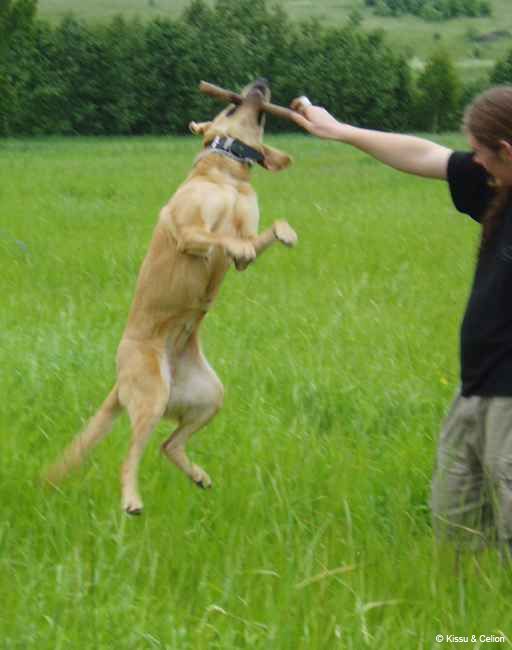 18_Do teh disko beibii.jpg