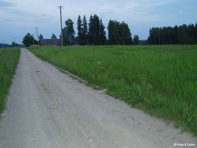 32_Otsi pildilt koera.jpg