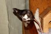DSC_0062.jpg