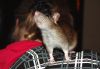 DSC_0077.jpg