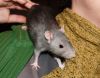DSC_0115.jpg