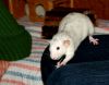DSC_0138.jpg