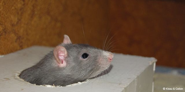 DSC_0030.jpg