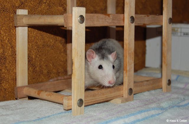 DSC_0127.jpg