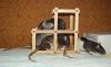 DSC_0141.jpg