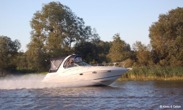 Picture_088.jpg