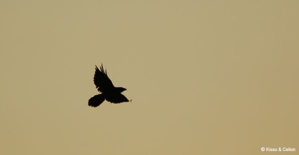 Picture_146.jpg
