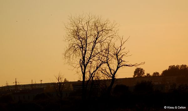 Picture_162.jpg
