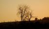 Picture_162.jpg