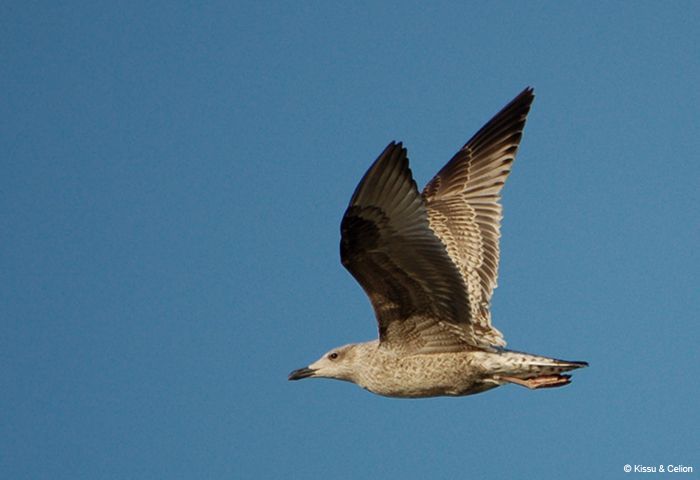 DSC_0014.jpg