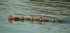 DSC_0179.jpg