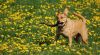 DSC_0184.jpg