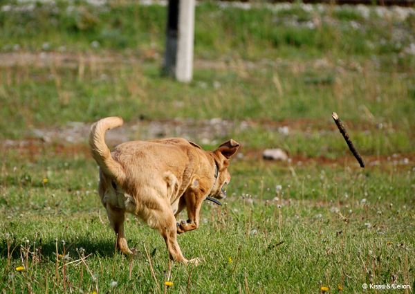 Picture_223.jpg