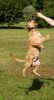 Picture_119.jpg