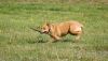 Picture_176.jpg