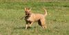 Picture_215.jpg