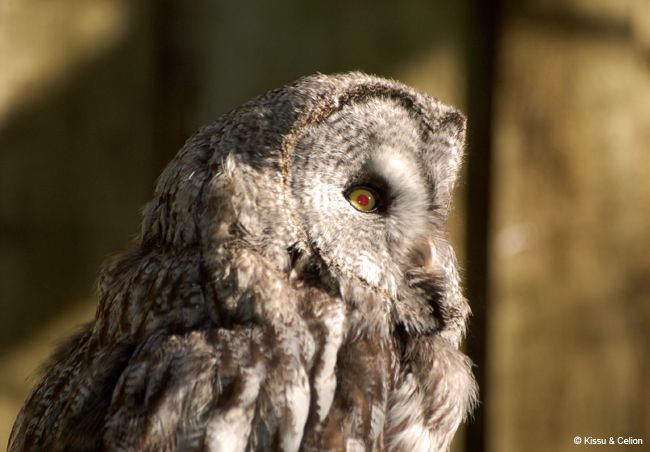 DSC_0023.jpg