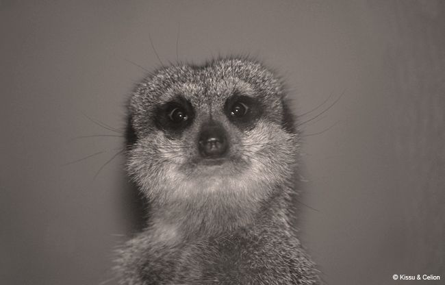 DSC_0089.jpg