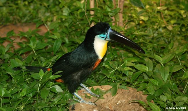 DSC_0106.jpg