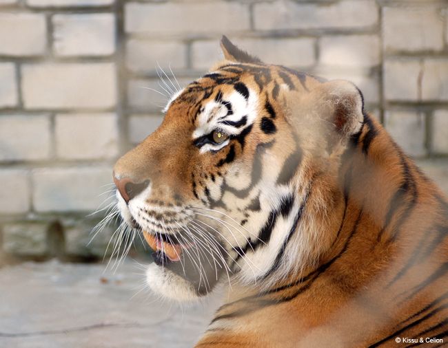 DSC_0150.jpg