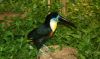 DSC_0106.jpg