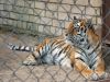 DSC_0155.jpg