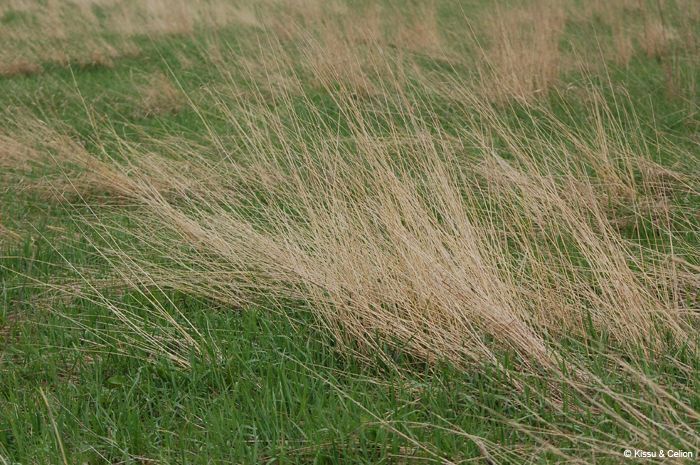 DSC_0118.jpg